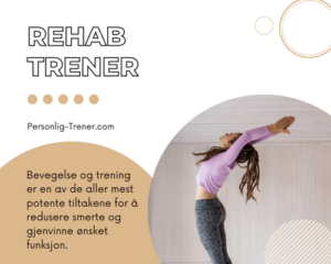 Personlig Trener - Rehab Trener